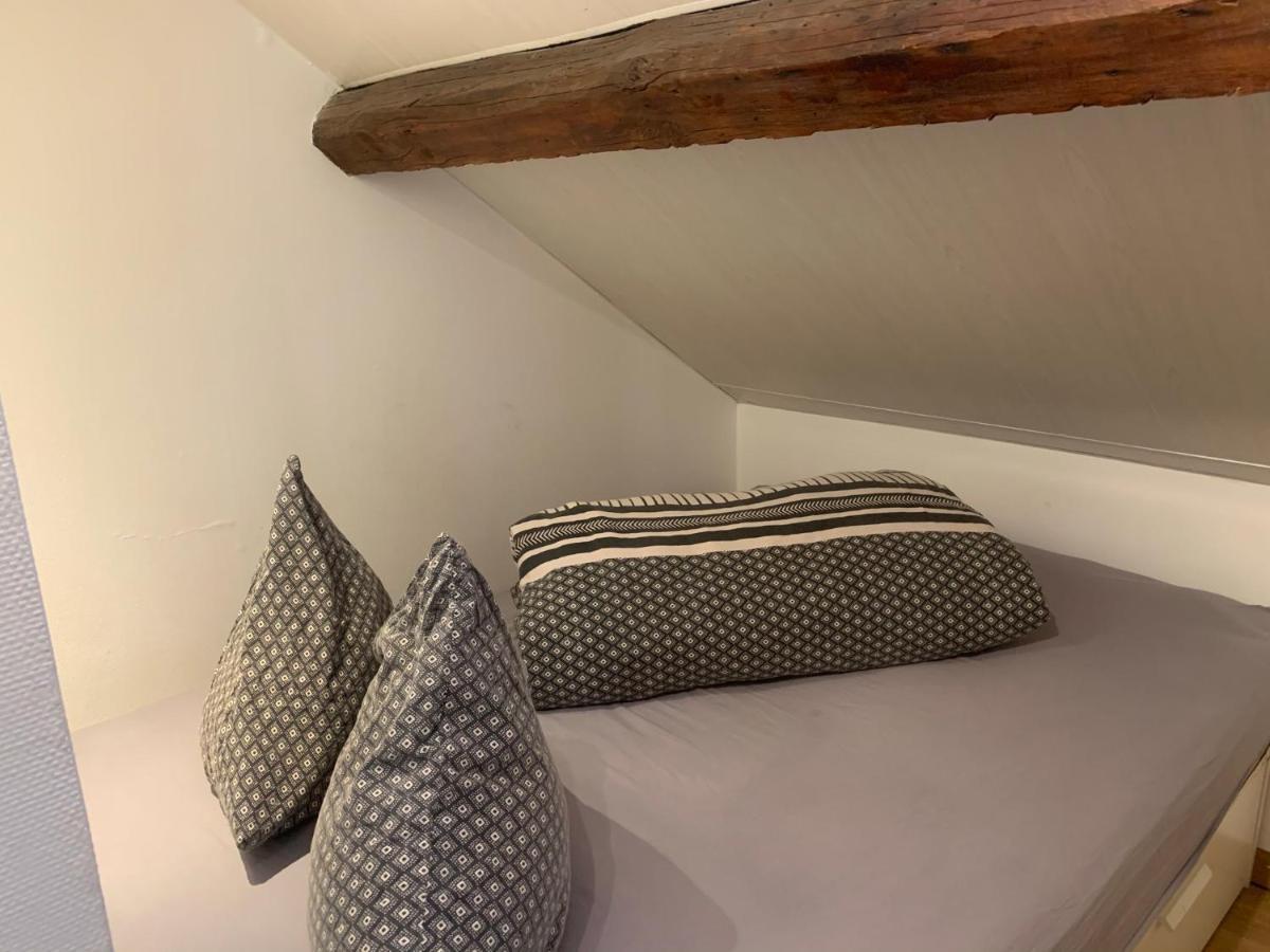 Le Duplex Cosy - Gare & Cite Gastronomique Daire Dijon Dış mekan fotoğraf